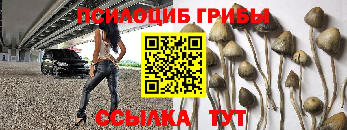 Галлюциногенные грибы Cubensis  купить наркотики сайты  Курчатов  Вход с VPN 